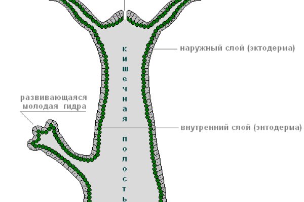 Купить аккаунт blacksprut