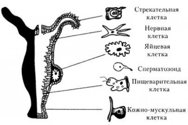 2fa код как получить blacksprut