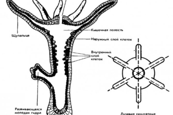 Блэкспрут blacksprut