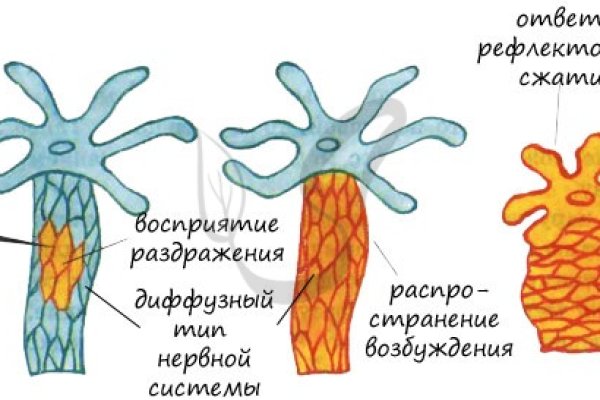 Ссылка блэкспрут 1blacksprut me