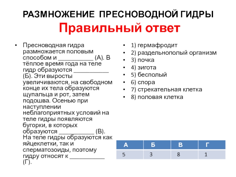 Http blacksprut com зеркало